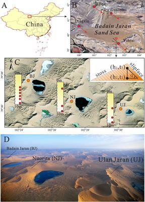 Advancement of Megadunes and its Implications in the Badain Jaran Sand Sea